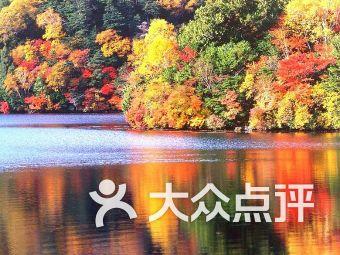 专业问答平台鹅卵石加热到1000度会怎样,快速解答您的疑问